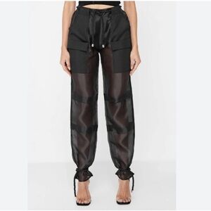 Maniere De Voir Black Organza Cargo Pants